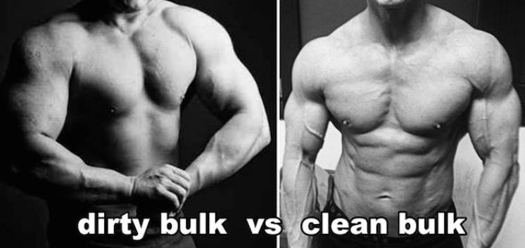 dirtybulk-vs-cleanbulk-doxtor